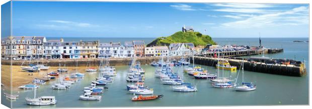 Ilfracombe in summer Canvas Print by Chris Harris
