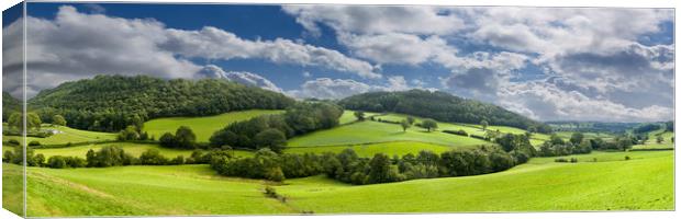 Panorama of Welsh countryside Canvas Print by Steve Heap