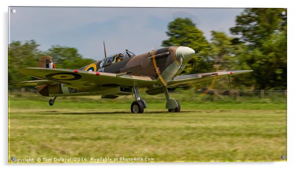 Lowdown Spitfire take-off Acrylic by Tom Dolezal