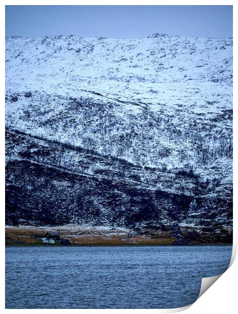 Norwegian Homes, Lofoten, Norway Print by Mark Llewellyn