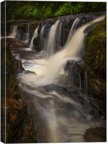The gully at Panwar Waterfalls Canvas Print by Leighton Collins