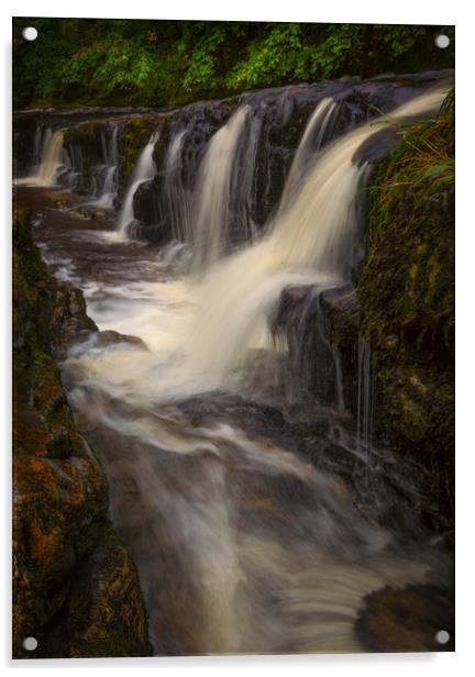 The gully at Panwar Waterfalls Acrylic by Leighton Collins