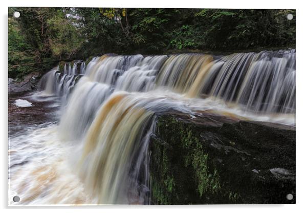 Sgwd y Pannwr waterfall Acrylic by Leighton Collins