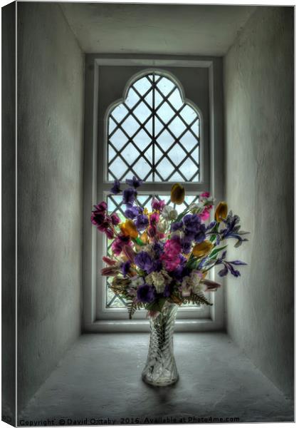 Flowers on Church sill Canvas Print by David Oxtaby  ARPS