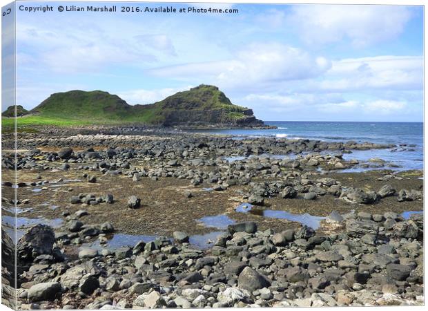 The Giants Causeway.  Canvas Print by Lilian Marshall