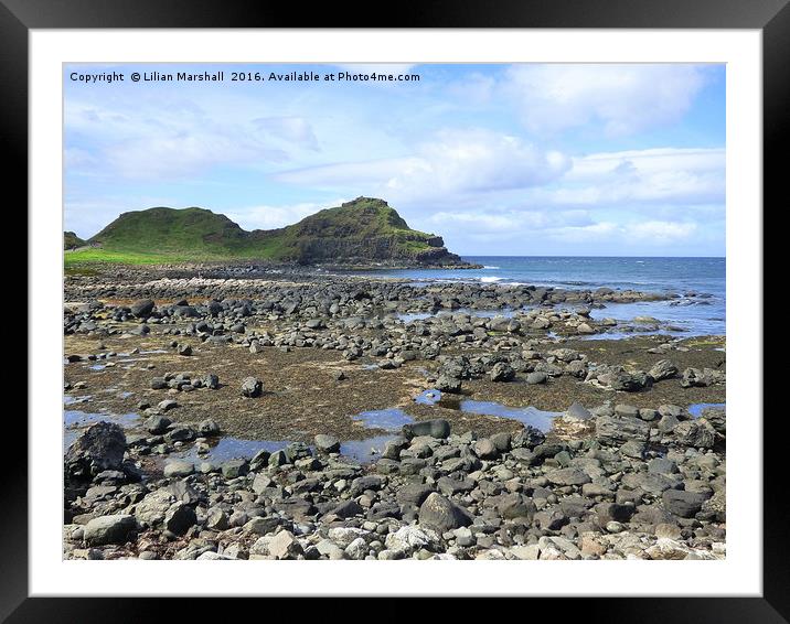 The Giants Causeway.  Framed Mounted Print by Lilian Marshall