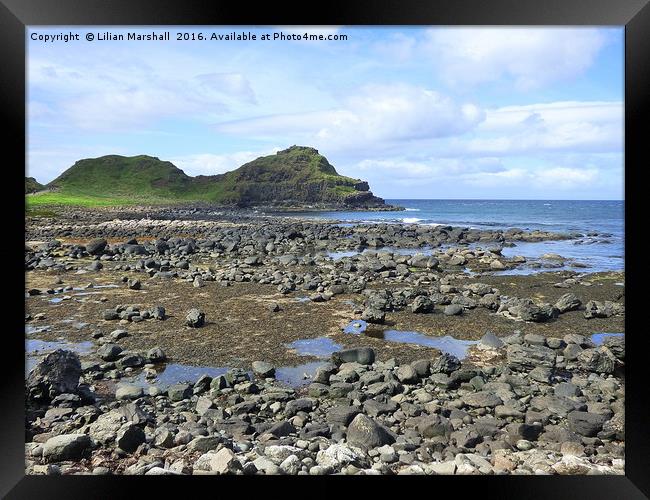 The Giants Causeway.  Framed Print by Lilian Marshall