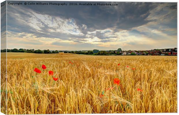 Winter Barley 2 Canvas Print by Colin Williams Photography