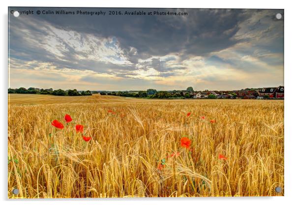 Winter Barley 2 Acrylic by Colin Williams Photography