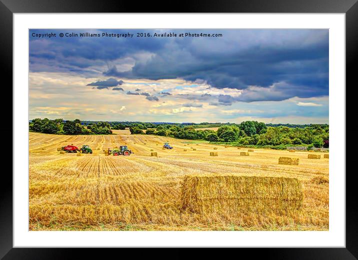 Creating Straw Bales After Harvest Of  Barley Framed Mounted Print by Colin Williams Photography
