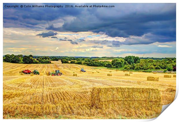 Creating Straw Bales After Harvest Of  Barley Print by Colin Williams Photography