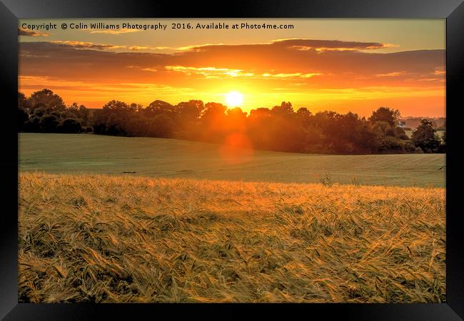 Sunrise over A Field of Winter Barley Framed Print by Colin Williams Photography