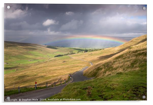 Rainbow in the Yorkshire Dales Acrylic by Stephen Mole