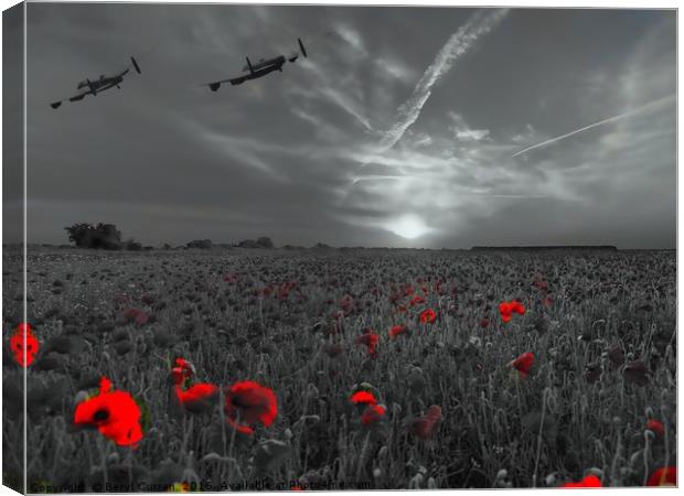 Lest We Forget Canvas Print by Beryl Curran