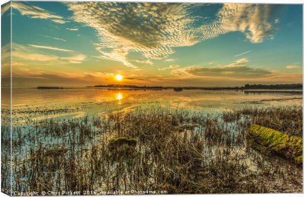  Early Summer Sunrise on the River Medway Canvas Print by Chris Pickett