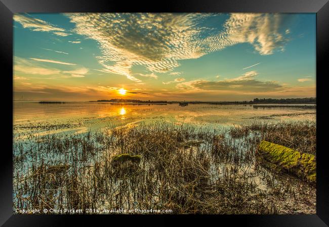  Early Summer Sunrise on the River Medway Framed Print by Chris Pickett