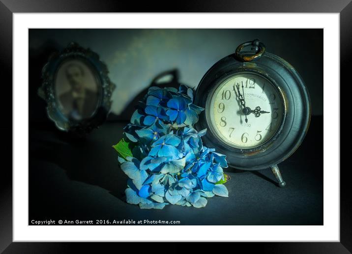Hydrangea Time 2 Framed Mounted Print by Ann Garrett
