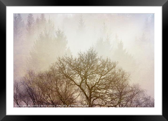 Misty Forest Framed Mounted Print by Jackie Davies