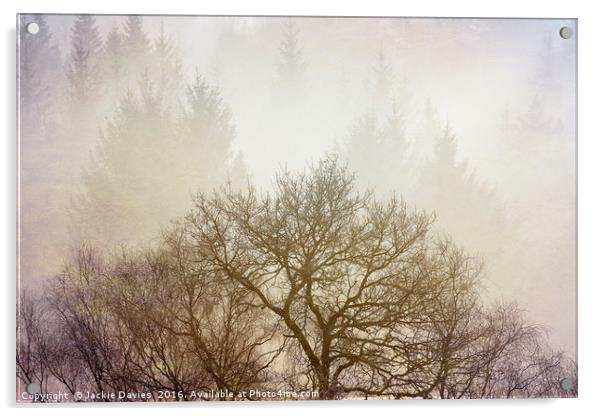 Misty Forest Acrylic by Jackie Davies
