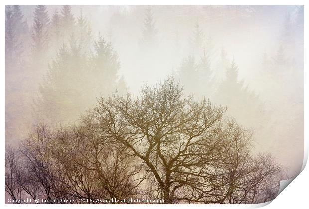 Misty Forest Print by Jackie Davies