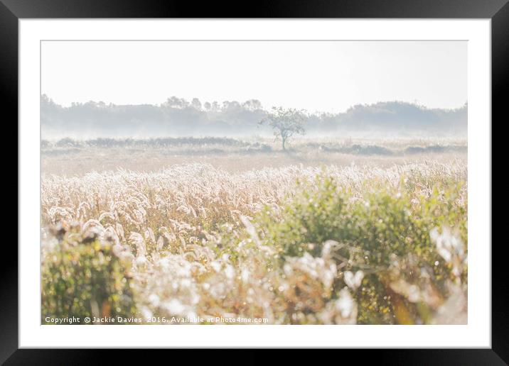 Morning Mist Framed Mounted Print by Jackie Davies