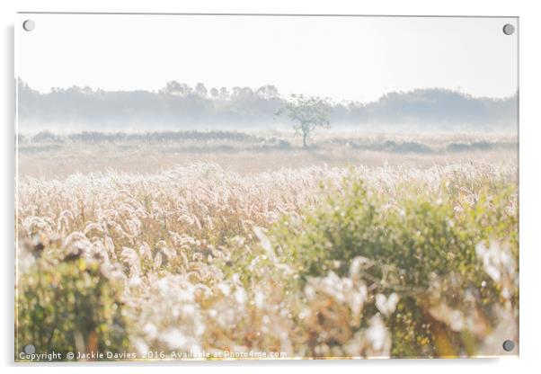 Morning Mist Acrylic by Jackie Davies