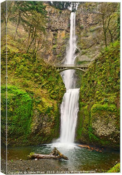 Full view of Multnomah Falls in the Columbia River Canvas Print by Jamie Pham