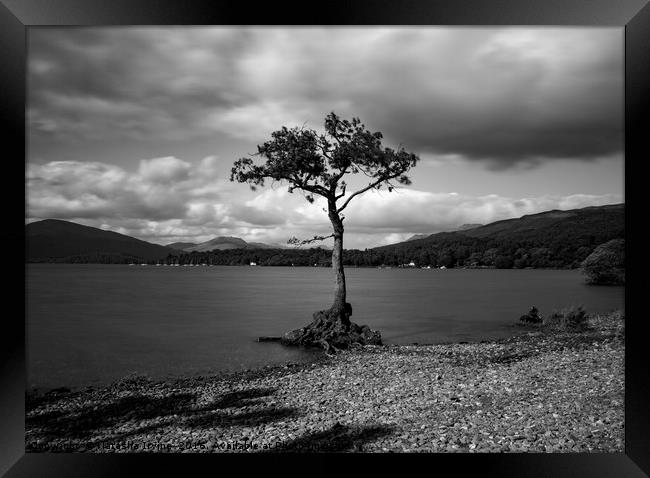 Millorchy Bay, Loch Lomond Framed Print by Natasha Irvine