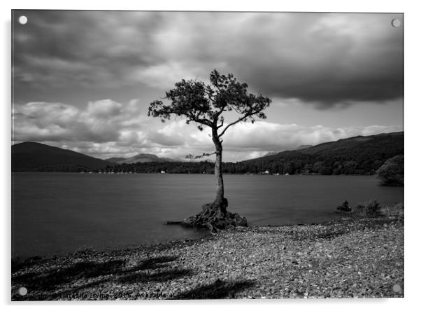 Millorchy Bay, Loch Lomond Acrylic by Natasha Irvine