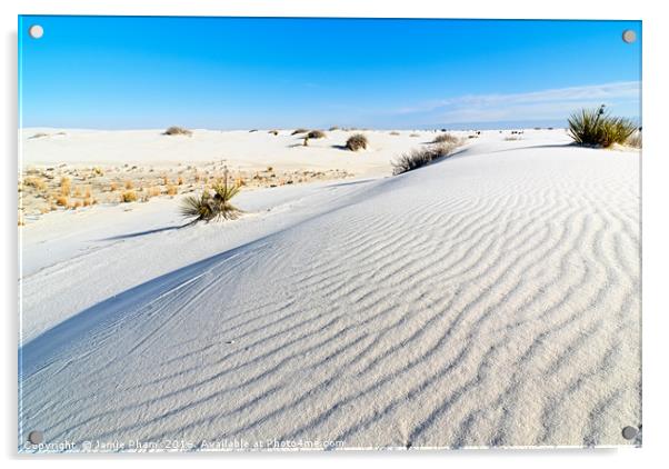 Early morning view of the sand dunes in White Sand Acrylic by Jamie Pham