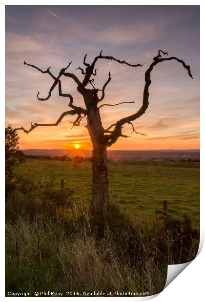 Sunrise at the dead tree Print by Phil Reay