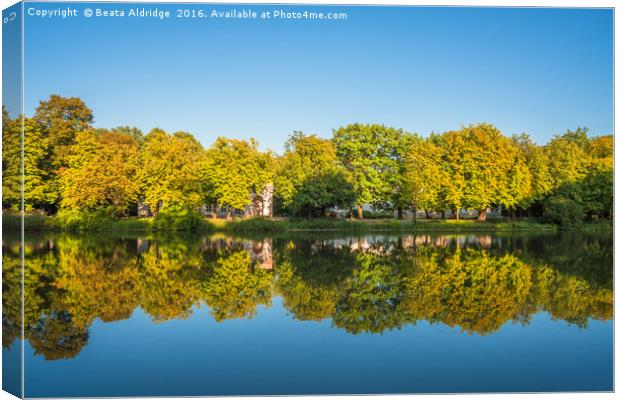Autumn tree reflections in the lake Canvas Print by Beata Aldridge