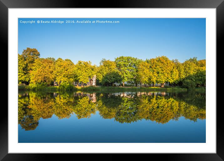 Autumn tree reflections in the lake Framed Mounted Print by Beata Aldridge