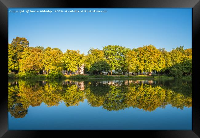 Autumn tree reflections in the lake Framed Print by Beata Aldridge