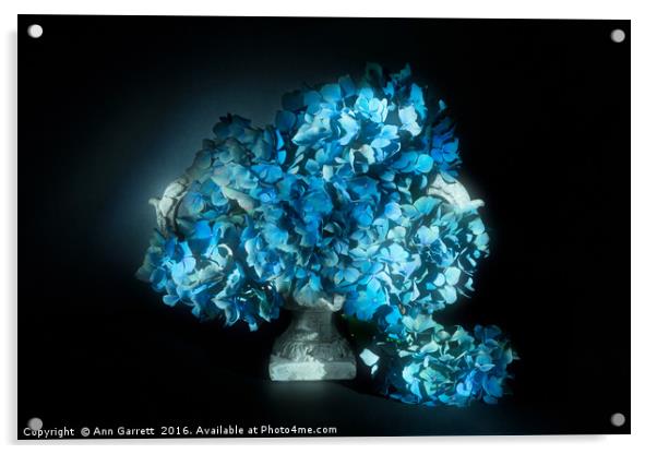 Blue Hydrangea Blossom Acrylic by Ann Garrett