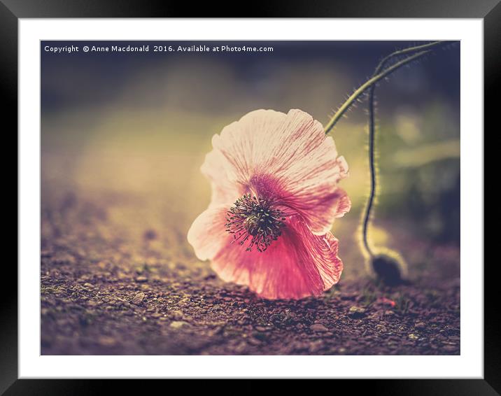 Fallen But Not Defeated Framed Mounted Print by Anne Macdonald