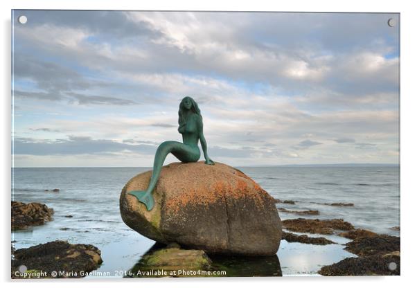Mermaid of the North Acrylic by Maria Gaellman