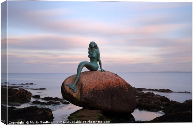 Mermaid of the North at Sunset Canvas Print by Maria Gaellman