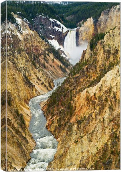 Yellowstone Falls from Artist Point Canvas Print by Jamie Pham