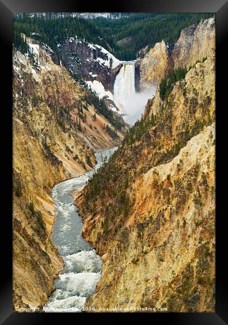 Yellowstone Falls from Artist Point Framed Print by Jamie Pham