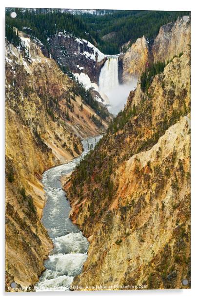 Yellowstone Falls from Artist Point Acrylic by Jamie Pham