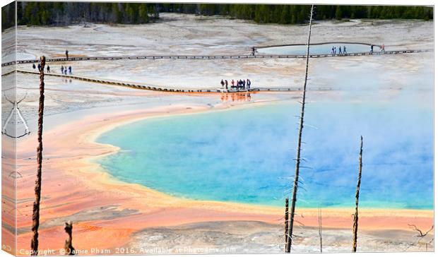 Overhead view of Grand Prismatic Spring in Yellows Canvas Print by Jamie Pham