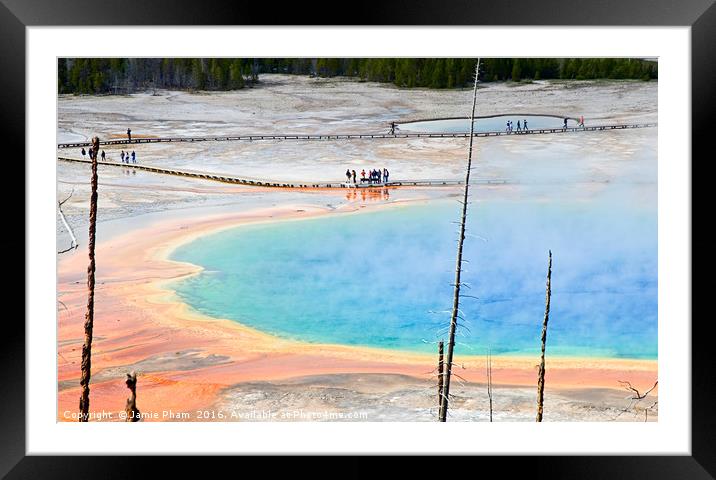 Overhead view of Grand Prismatic Spring in Yellows Framed Mounted Print by Jamie Pham