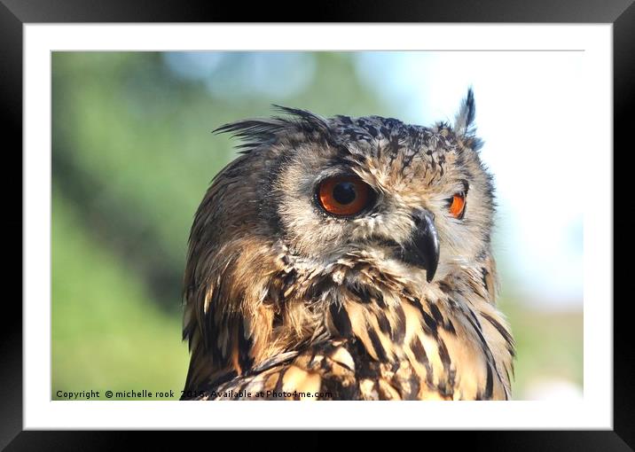 Eagle Owl 1 Framed Mounted Print by michelle rook