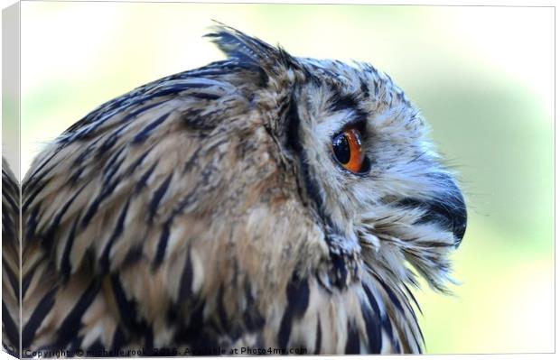 Eagle Owl 2 Canvas Print by michelle rook