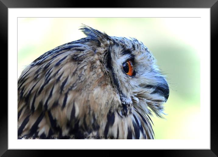 Eagle Owl 2 Framed Mounted Print by michelle rook