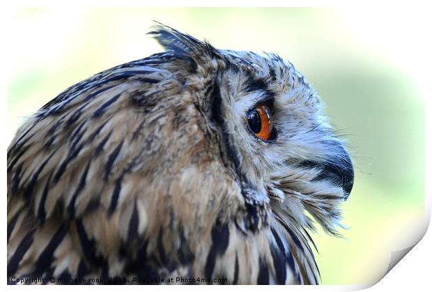 Eagle Owl 2 Print by michelle rook