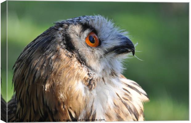 Eagle Owl 3 Canvas Print by michelle rook