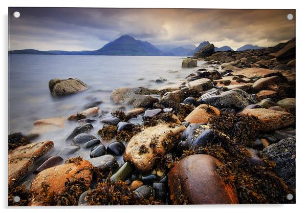 The Black Cullins from Elgol Acrylic by David Mould
