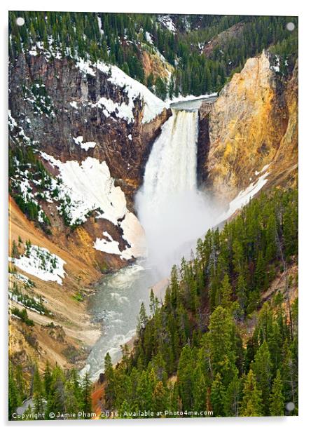 Yellowstone Falls in Spring Time Acrylic by Jamie Pham